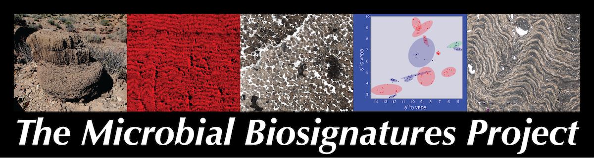 Microbial Biosignatures Project Logo