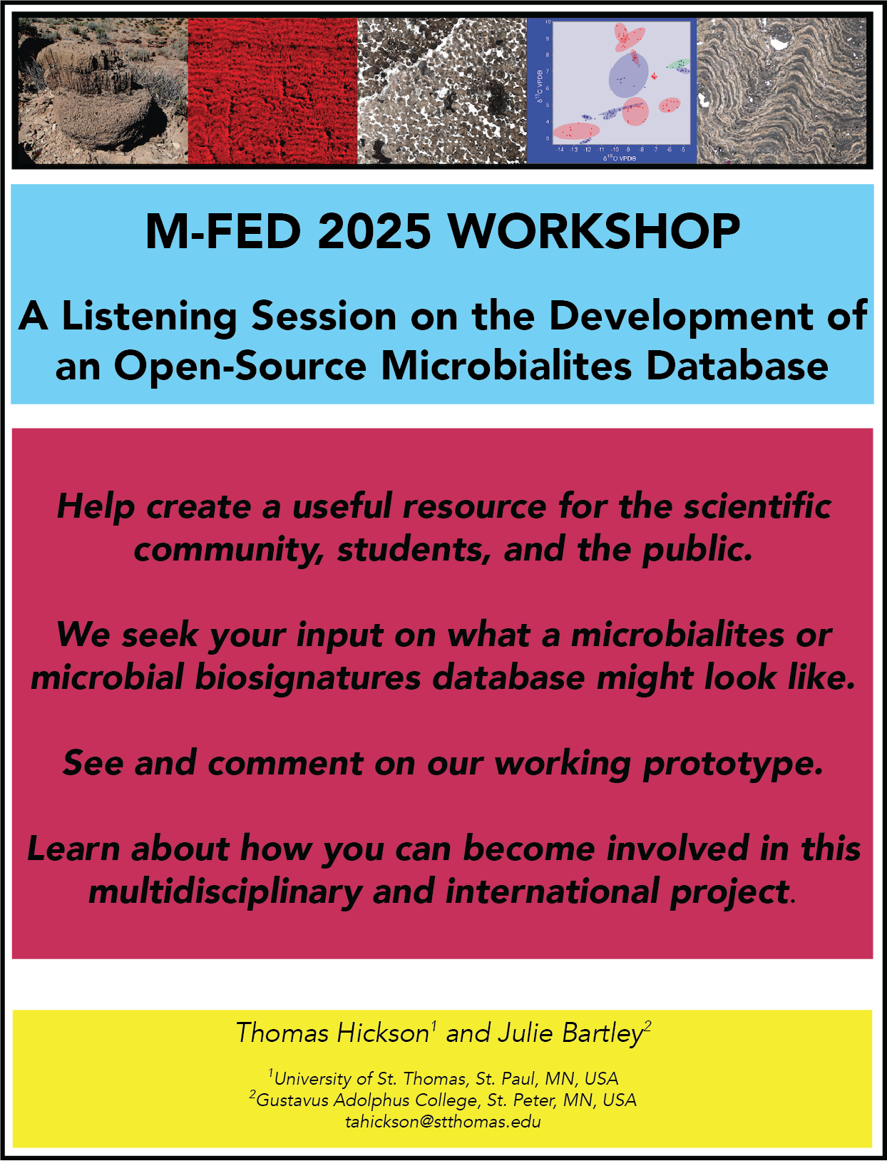 Flyer describing the listening session we're planning for the M-FED 2025 conference in Hannover